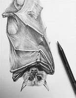 Image result for Bat Head Drawing