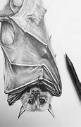 Image result for Upside Down Bat Drawing