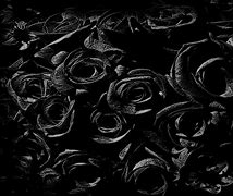 Image result for Goth Roses Background