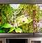 Image result for 40 Inch Budget 4K Smart TV
