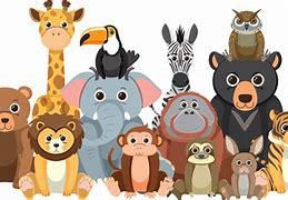 Image result for Animated Zoo Animals