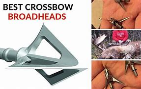 Image result for crossbows broadhead review