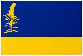 Image result for Flag of Raska