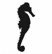 Image result for Sea Horse Clip Art