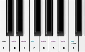 Image result for Paino Keyboard Top-Down