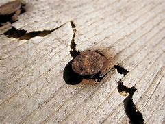 Image result for Corroded Wood