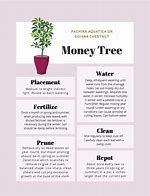 Image result for I AM Not Your Money Tree