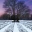 Image result for Winter Nature Wallpaper iPhone