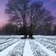 Image result for Winter iPhone Wallpaper Free