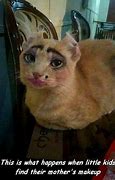 Image result for Cat Wearing Makeup Meme