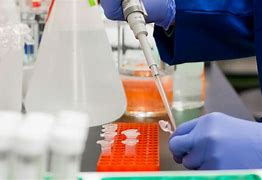 Image result for Biology Research Lab