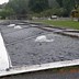 Image result for Allentown PA Fish Hatchery
