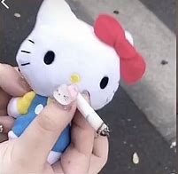 Image result for Hello Kitty IRL