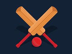 Image result for Cricket Bat Animation