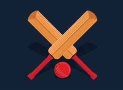 Image result for Cricket Bat Animated with Green Background