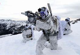 Image result for Canadian Elite Forces
