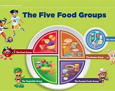 Image result for 5 Basic Food Groups