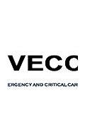 Image result for Veccs Logo