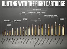 Image result for Bullet Choice Chart