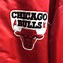 Image result for Chicago Bulls Reversible Jacket