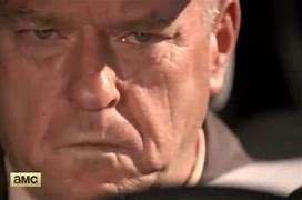 Image result for Hank Schrader in Physical Therapy Walking Breaking Bad