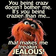 Image result for If I'm Crazy Why Do You Bother with Me Meme