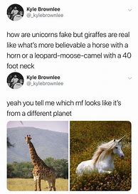 Image result for Unicorn and Giraffe Meme
