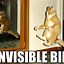 Image result for LOL Funny Cat Memes