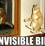 Image result for LOL Funny Animals