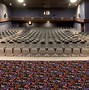Image result for Home Theater Carpet
