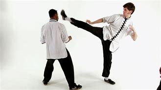 Image result for Shaolin Kung Fu GI