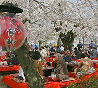 Image result for Japan Culture Festival