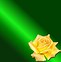 Image result for iPhone 0LE Rose