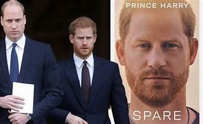 Image result for Prince Harry New Book