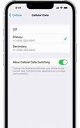 Image result for Dual Sim iPhone Settings