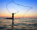 Image result for What Are Split Rings Used for Fishing