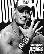 Image result for John Cena Upcoming Movies