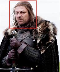 Image result for Ned Stark Costume