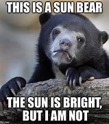 Image result for Sun Bear Meme