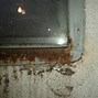 Image result for Different Types of Basement Windows