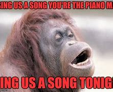 Image result for Monkey Song Meme