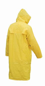 Image result for Yellow Coat Greenscreen