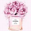 Image result for Coco Chanel Pink Cover