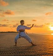 Image result for Karate Martial Art