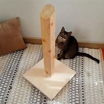 Image result for Cat Scratch Post