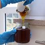 Image result for Honey Extract