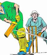 Image result for Cricket