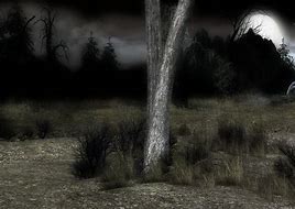 Image result for Dark Night iPhone Wallpaper