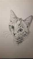 Image result for Stipple Art Cat