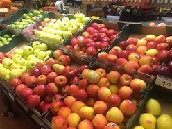 Image result for Different Apples